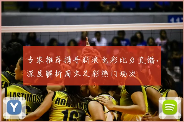 专家推荐携手新浪竞彩比分直播，深度解析周末足彩热门场次