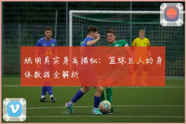 姚明真实身高揭秘：篮球巨人的身体数据全解析