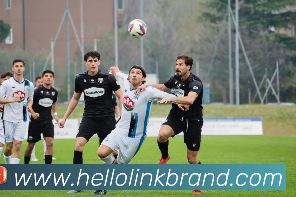 完美体育登录入口APP 体育赛事宣传图